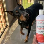 Wondercide Flea and Tick Shampoo Review: Is This Plant-Powered Formula Truly Effective?