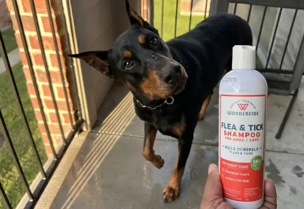 Wondercide flea and tick shampoo review