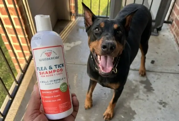 Wondercide Flea and Tick Shampoo 12oz Peppermint bottle overview, natural plant-powered treatment