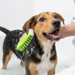 ZOOPOLR Silicone Shampoo Brush Review: Is It The Ultimate Bath Time Game-Changer?