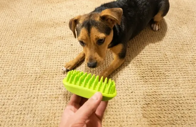 ZOOPOLR Silicone Shampoo Brush illustrating its unique ergonomic mouse shape and textured grip surface