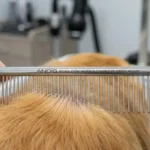 In-Depth Review: The Andis Steel Pet Comb (Model 68545) – The Gold Standard for Dermal Integrity and Undercoat Architecture