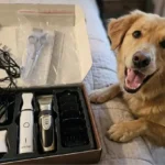 Oneisall Dog Clippers and Paw Trimmer Kit Review (2026): Is This 2-in-1 Set Worth Your Money?