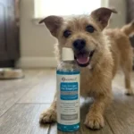 Allertech Anti Allergen Pet Shampoo Review: The Truth From US Users