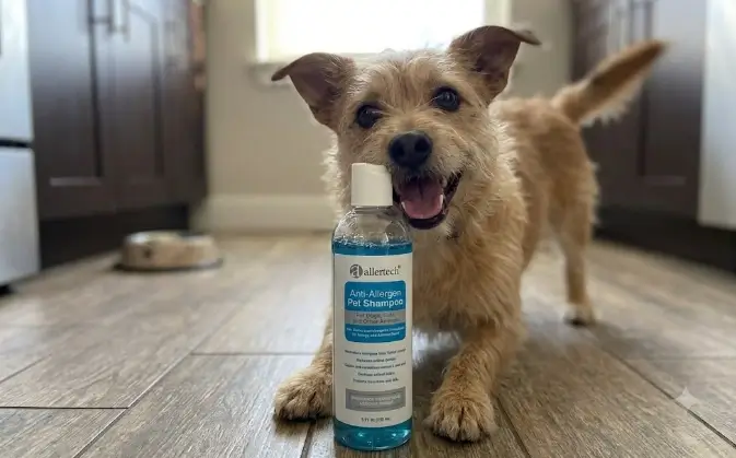 Allertech Anti Allergen Pet Shampoo review