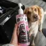 Bugalugs Baby Fresh Dog Shampoo Review: What 1,000+ US Amazon Buyers REALLY Say