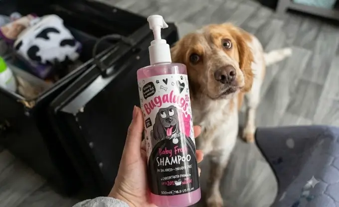 Bugalugs Baby Fresh Dog Shampoo Review