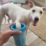 Dexas MudBuster Review: Is It The Ultimate Cure For Muddy Paws? (Hands-On Test)