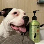 Earthbath vs Pawfume: Which 2-in-1 Conditioning Dog Shampoo Wins? (A Real Pet Lover’s Review)
