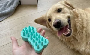 FURminator Curry Comb vs KONG ZoomGroom