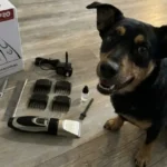 Highdas Dog Clippers Review: Real US Owner Feedback & Performance Test