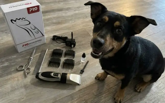 Highdas dog clippers review