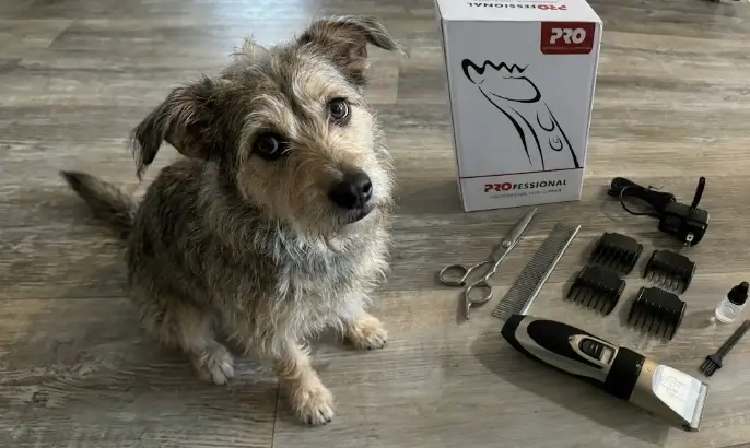 Highdas Dog Clippers grooming kit product inspection