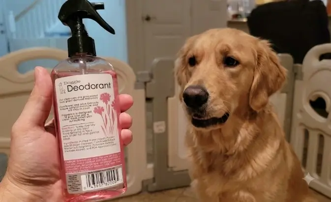 Natural Doggie Deodorant Powder Review