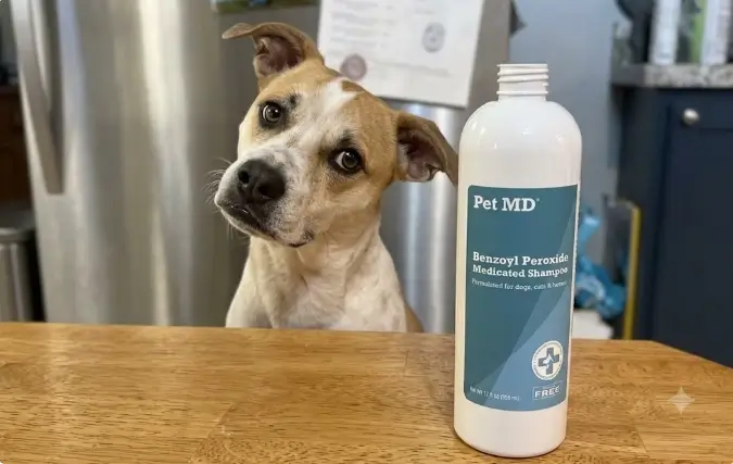 Pet MD Medicated Shampoo clinical bottle layout and active foam application