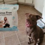 ScrubbyPet No Rinse Pet Wipes Review: Honest Pet Parent Guide