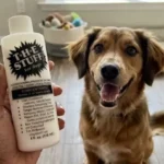 The Stuff Dog Conditioner Review: The Ultimate Leave-In Detangler Guide
