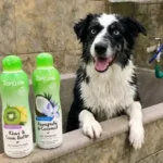 TropiClean Deshedding Dog Conditioner Review: Does It Really Stop The Shedding Blowout?