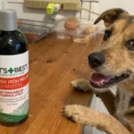 Vet’s Best Allergy Itch Relief Dog Shampoo Review: An Honest Pet Lover’s Verdict