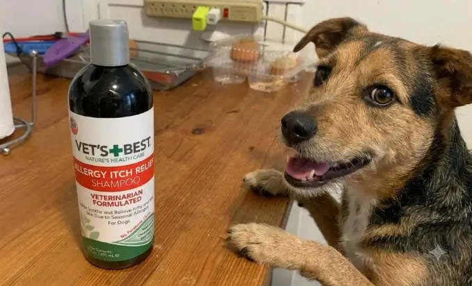 Vet's Best Allergy Itch Relief Dog Shampoo