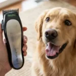Wahl vs Oster Cordless Dog Clippers: An Honest Comparison for Home Pet Grooming