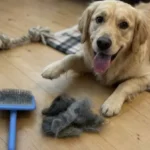 We Love Doodles Slicker Brush Review: Is It Worth the Premium Price for Your Matted Dog?