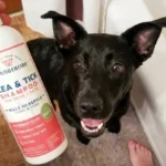 Wondercide Flea & Tick Shampoo Review: What Top US Reviews Really Say (2026 Update)